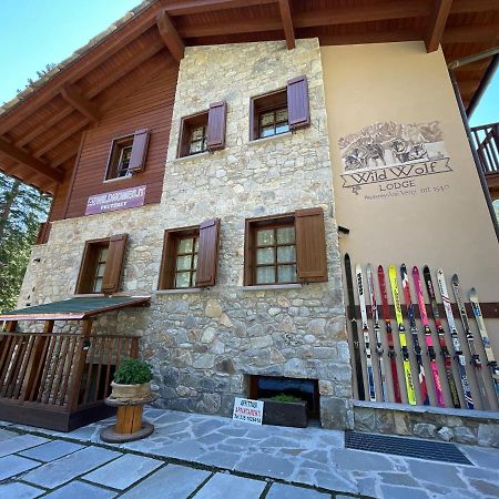 Wildhomes Wild Wolf Lodge Courmayeur Kültér fotó