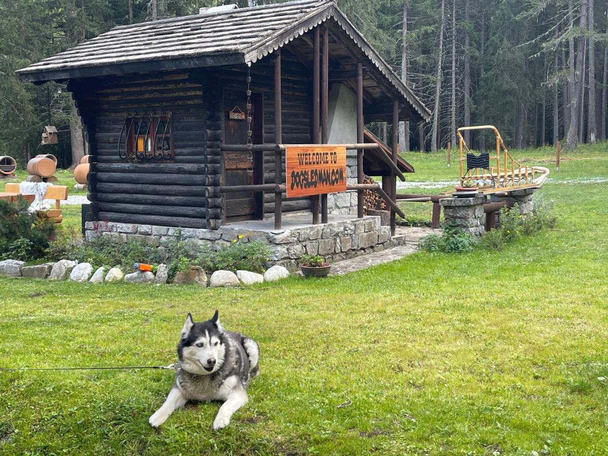Wildhomes Wild Wolf Lodge Courmayeur Kültér fotó