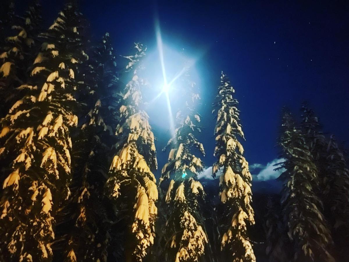 Wildhomes Wild Wolf Lodge Courmayeur Kültér fotó